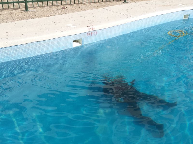 Localización de fugas de agua en piscinas Murcia