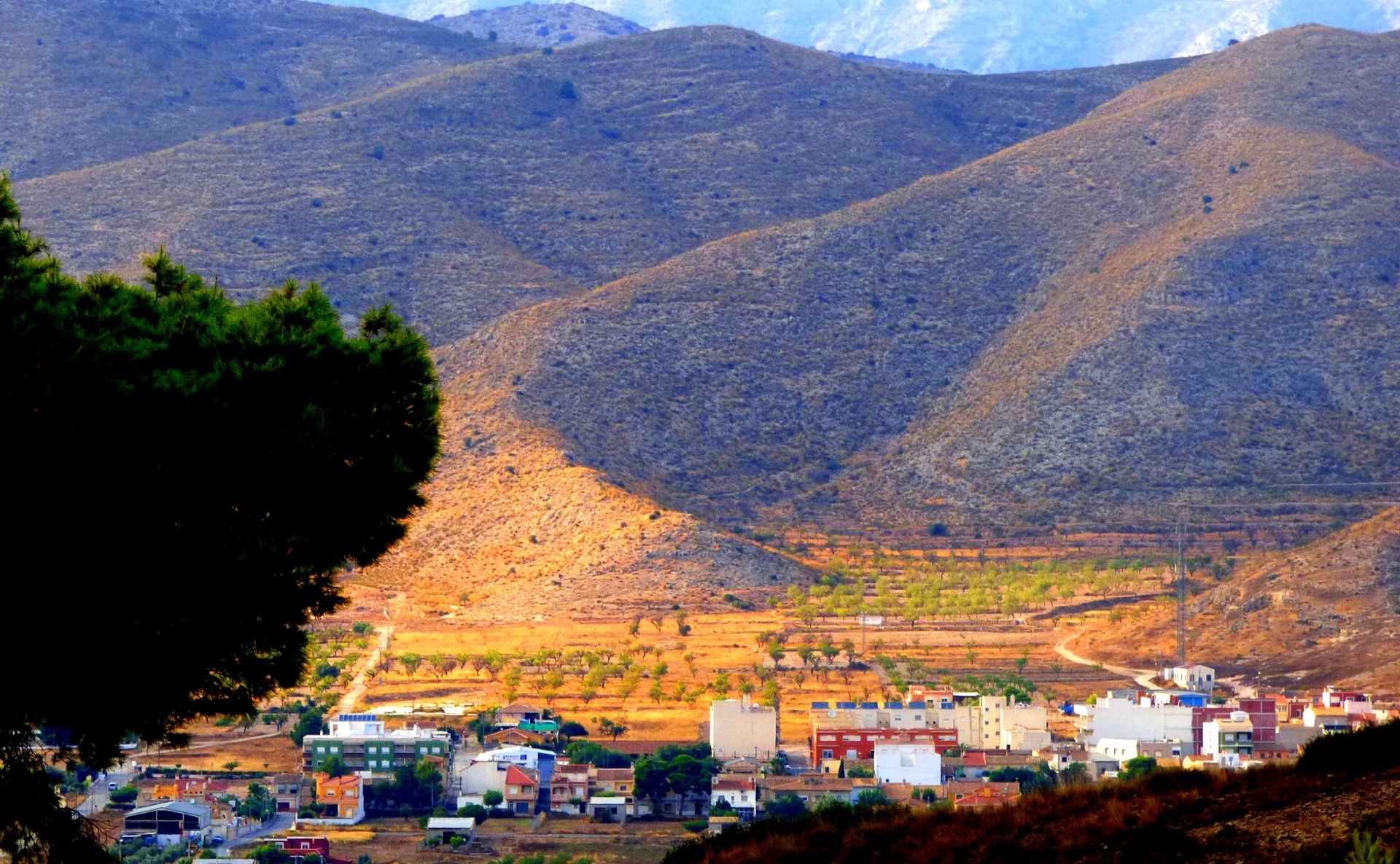Detección de fugas de agua en Hondón de los Frailes, Alicante